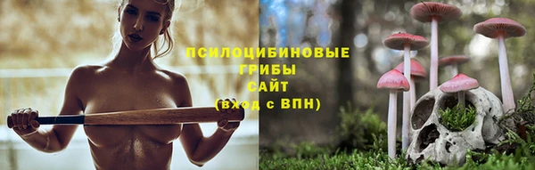 ешки Алексин