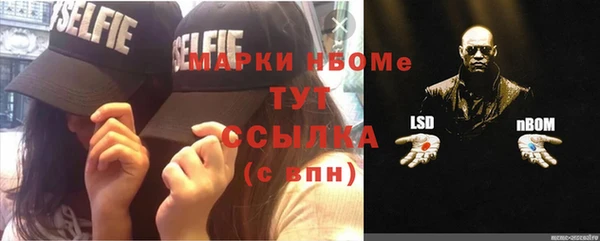 ешки Алексин