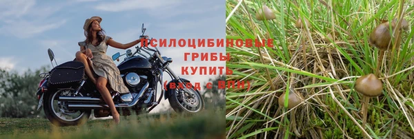 ешки Алексин